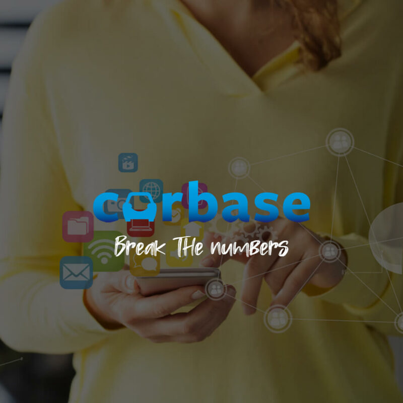 Carbase, DMS Automobile